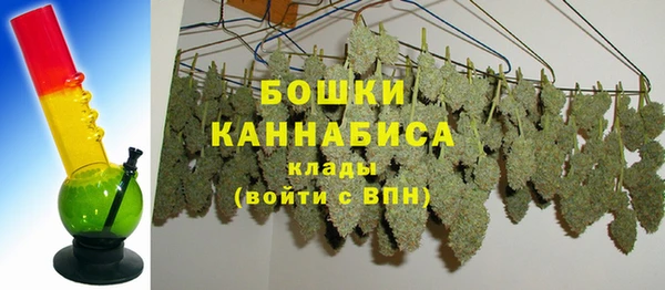 ПСИЛОЦИБИНОВЫЕ ГРИБЫ Киренск