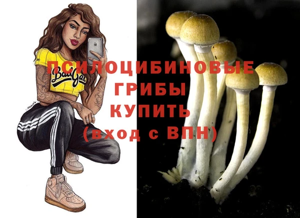 ПСИЛОЦИБИНОВЫЕ ГРИБЫ Киренск
