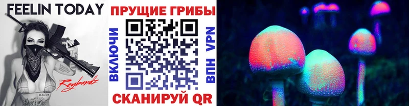 Псилоцибиновые грибы Cubensis  Купить где  Ефремов 